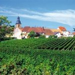 Wijngaarden Heidelberg en het Odenwald
